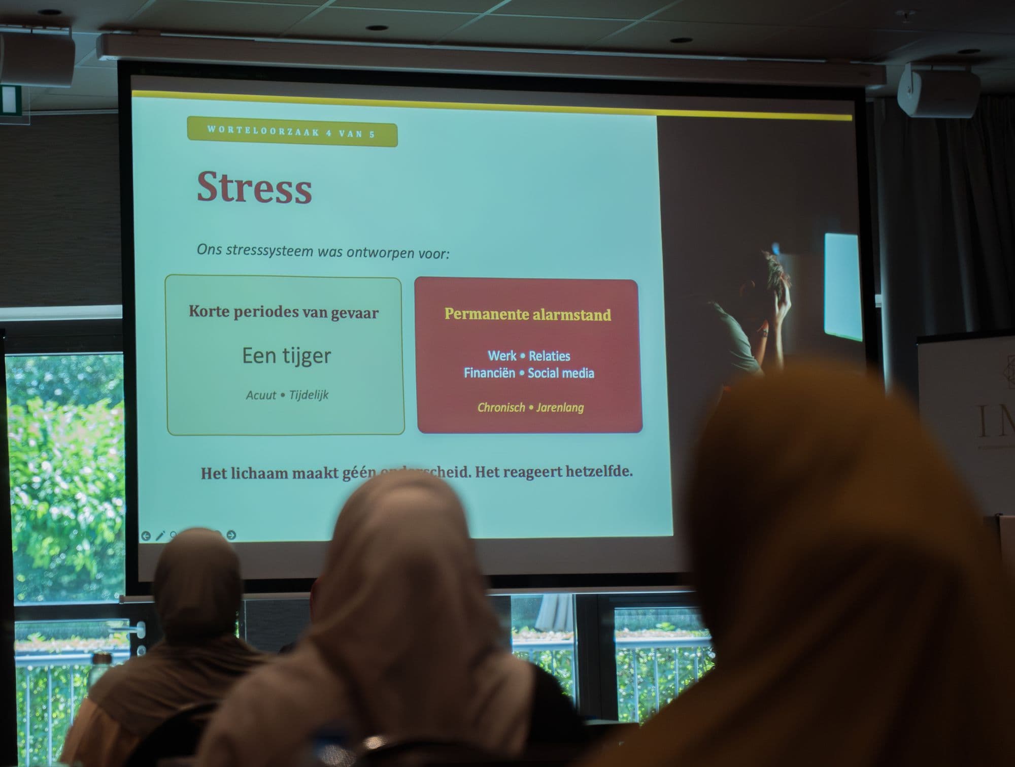 Studenten kijken naar een dia over stress en het zenuwstelsel